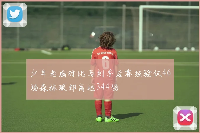 少年老成对比马刺季后赛经验仅46场森林狼却高达344场