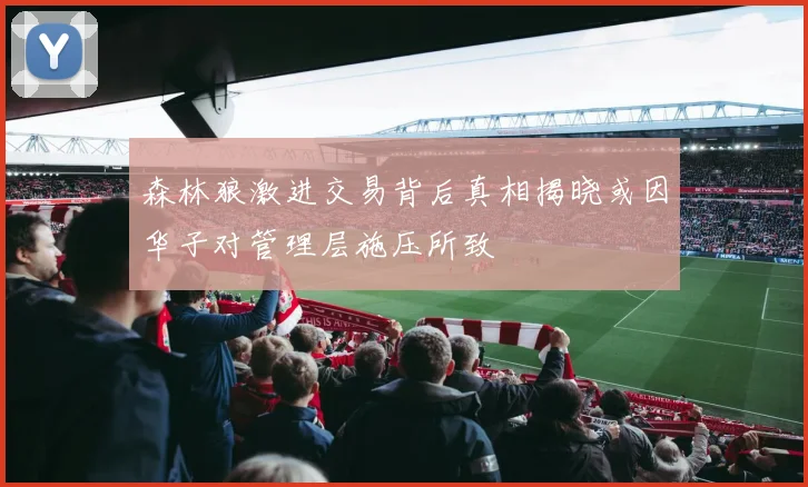 森林狼激进交易背后真相揭晓或因华子对管理层施压所致