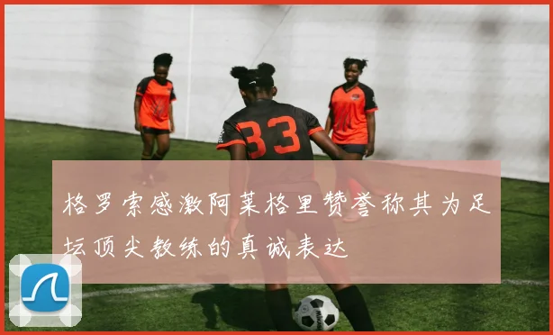 格罗索感激阿莱格里赞誉称其为足坛顶尖教练的真诚表达
